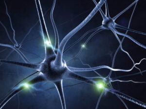 Havening Therapy Toronto Psychotherapist