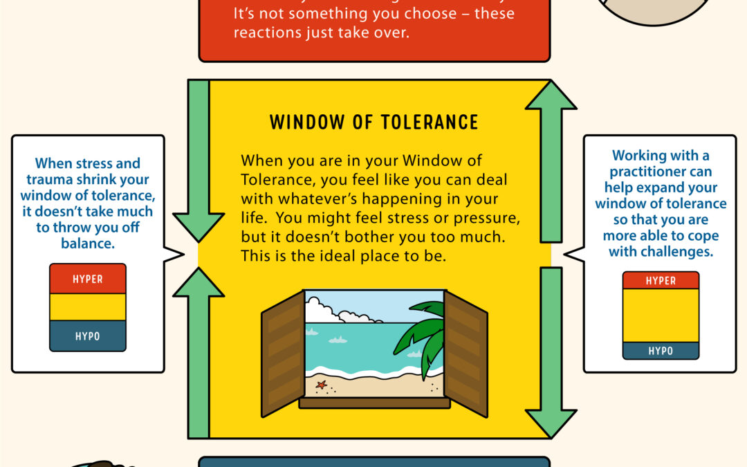 Understanding the Window of Tolerance: Trauma and Anxiety Therapy in Toronto
