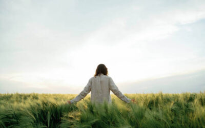 IFS Therapy for Perfectionism: How the Perfectionist Part Drives Anxiety